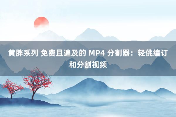 黄胖系列 免费且遍及的 MP4 分割器：轻佻编订和分割视频