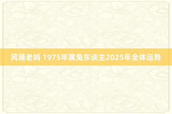 风骚老妈 1975年属兔东谈主2025年全体运势