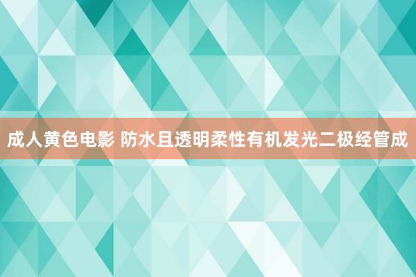 成人黄色电影 防水且透明柔性有机发光二极经管成