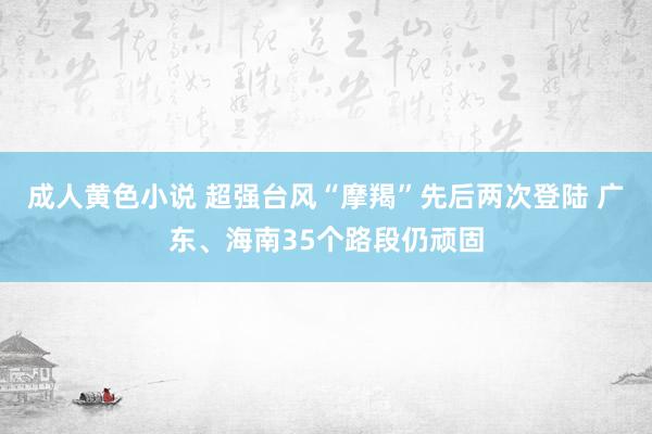 成人黄色小说 超强台风“摩羯”先后两次登陆 广东、海南35个路段仍顽固