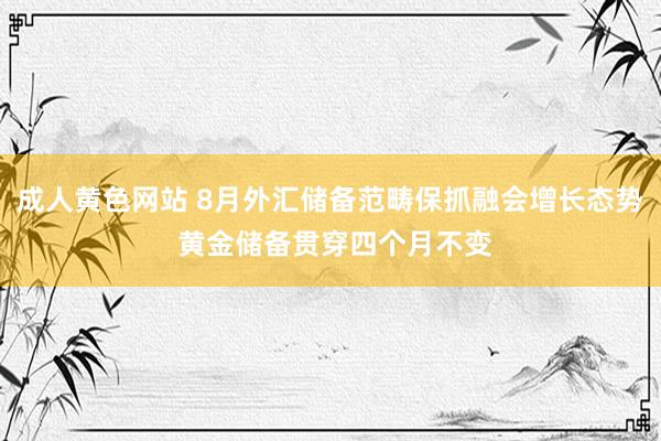 成人黄色网站 8月外汇储备范畴保抓融会增长态势 黄金储备贯穿四个月不变