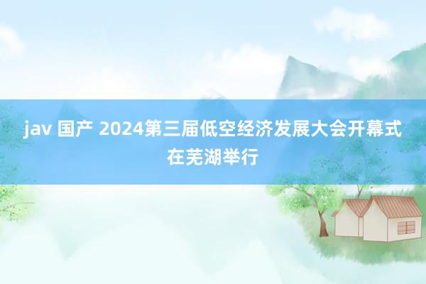 jav 国产 2024第三届低空经济发展大会开幕式在芜湖举行