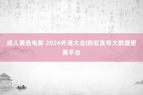 成人黄色电影 2024外滩大会|蚂蚁发布大数据密算平台