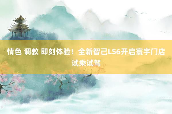 情色 调教 即刻体验！全新智己LS6开启寰宇门店试乘试驾