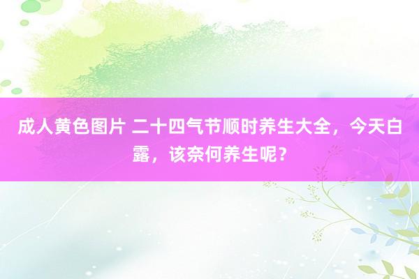 成人黄色图片 二十四气节顺时养生大全，今天白露，该奈何养生呢？