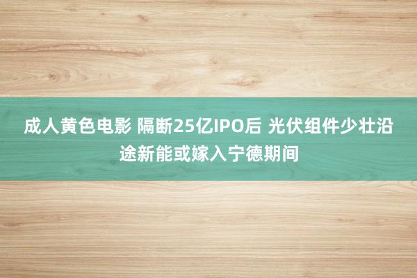 成人黄色电影 隔断25亿IPO后 光伏组件少壮沿途新能或嫁入宁德期间