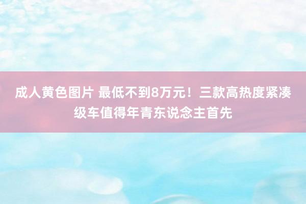 成人黄色图片 最低不到8万元！三款高热度紧凑级车值得年青东说念主首先