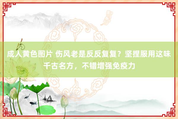 成人黄色图片 伤风老是反反复复？坚捏服用这味千古名方，不错增强免疫力