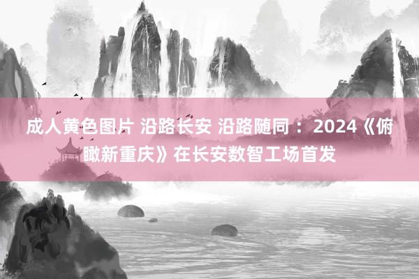 成人黄色图片 沿路长安 沿路随同 ：2024《俯瞰新重庆》在长安数智工场首发