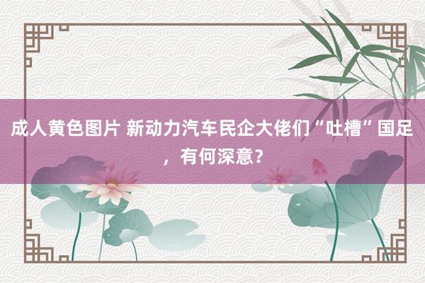 成人黄色图片 新动力汽车民企大佬们“吐槽”国足，有何深意？