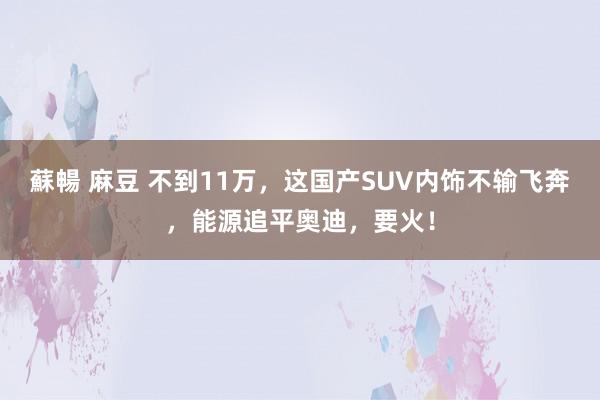 蘇暢 麻豆 不到11万，这国产SUV内饰不输飞奔，能源追平奥迪，要火！