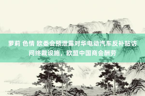 萝莉 色情 欧委会预泄露对华电动汽车反补贴访问终裁设施，欧盟中国商会酬劳