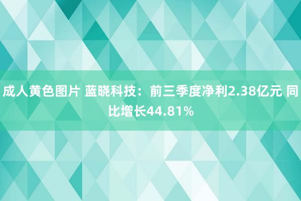 成人黄色图片 蓝晓科技：前三季度净利2.38亿元 同比增长44.81%