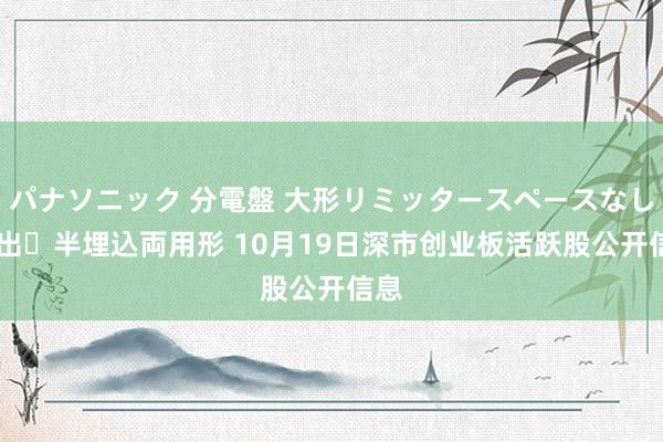 パナソニック 分電盤 大形リミッタースペースなし 露出・半埋込両用形 10月19日深市创业板活跃股公开信息