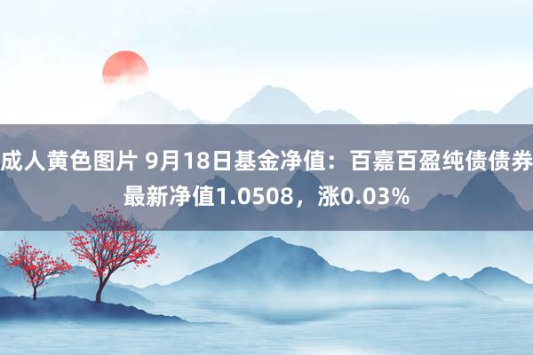 成人黄色图片 9月18日基金净值：百嘉百盈纯债债券最新净值1.0508，涨0.03%