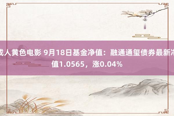 成人黄色电影 9月18日基金净值：融通通玺债券最新净值1.0565，涨0.04%