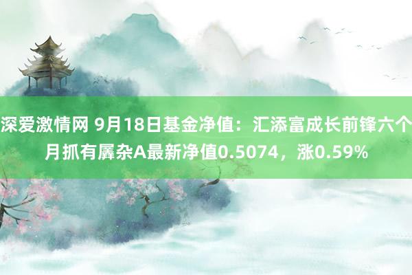 深爱激情网 9月18日基金净值：汇添富成长前锋六个月抓有羼杂A最新净值0.5074，涨0.59%