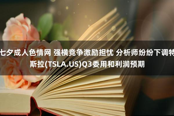 七夕成人色情网 强横竞争激励担忧 分析师纷纷下调特斯拉(TSLA.US)Q3委用和利润预期