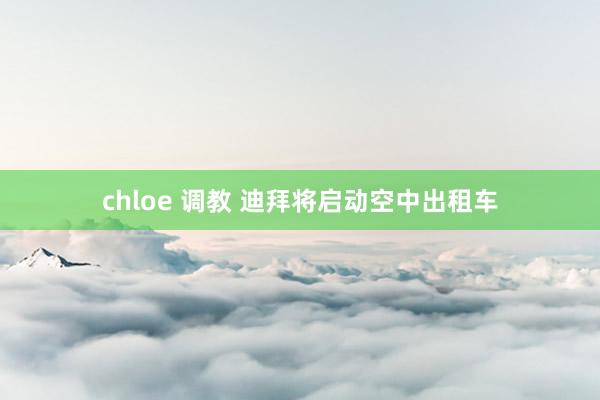 chloe 调教 迪拜将启动空中出租车