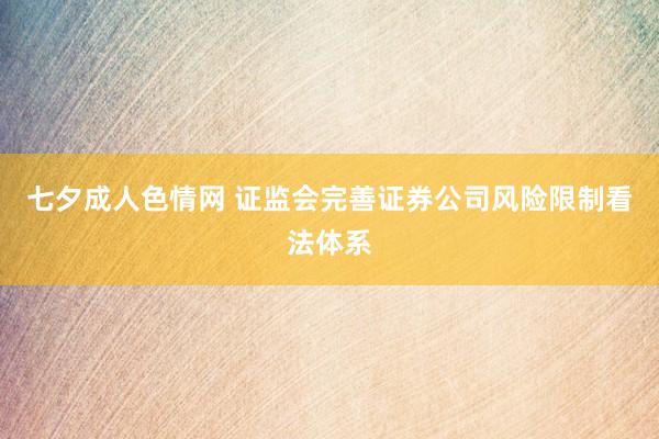 七夕成人色情网 证监会完善证券公司风险限制看法体系