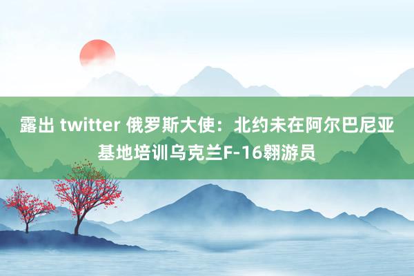 露出 twitter 俄罗斯大使：北约未在阿尔巴尼亚基地培训乌克兰F-16翱游员