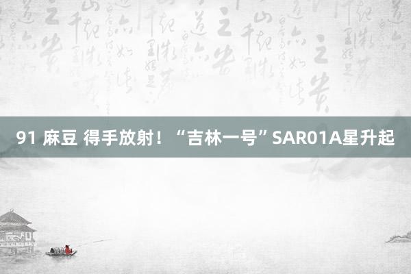 91 麻豆 得手放射！“吉林一号”SAR01A星升起