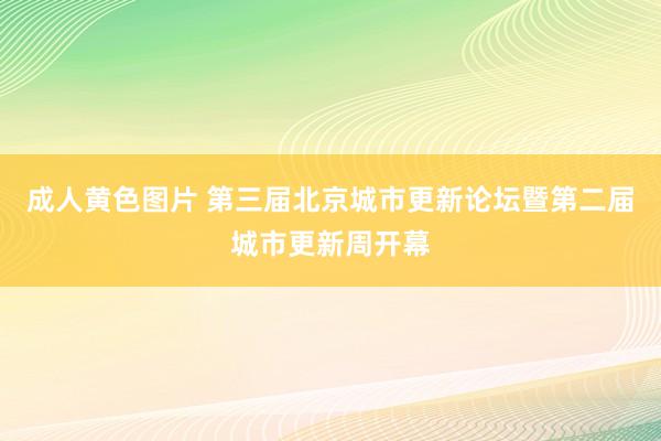 成人黄色图片 第三届北京城市更新论坛暨第二届城市更新周开幕