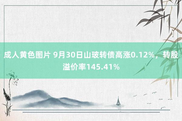 成人黄色图片 9月30日山玻转债高涨0.12%，转股溢价率145.41%