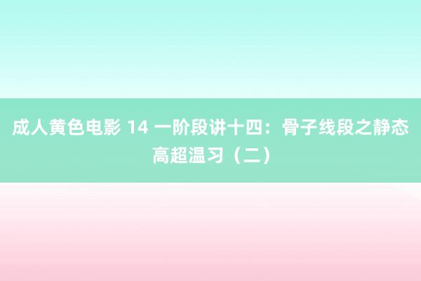 成人黄色电影 14 一阶段讲十四：骨子线段之静态高超温习（二）