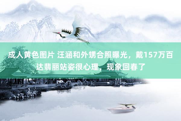 成人黄色图片 汪涵和外甥合照曝光，戴157万百达翡丽站姿很心理，现象回春了