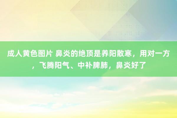 成人黄色图片 鼻炎的绝顶是养阳散寒，用对一方，飞腾阳气、中补脾肺，鼻炎好了