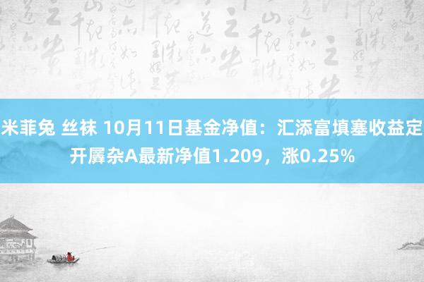 米菲兔 丝袜 10月11日基金净值：汇添富填塞收益定开羼杂A最新净值1.209，涨0.25%