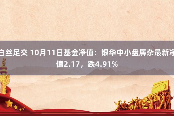 白丝足交 10月11日基金净值：银华中小盘羼杂最新净值2.17，跌4.91%