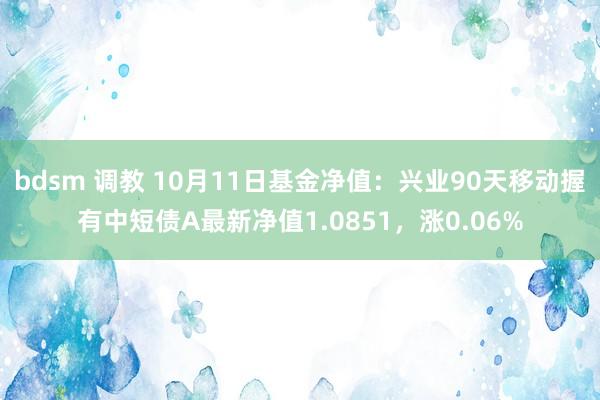 bdsm 调教 10月11日基金净值：兴业90天移动握有中短债A最新净值1.0851，涨0.06%