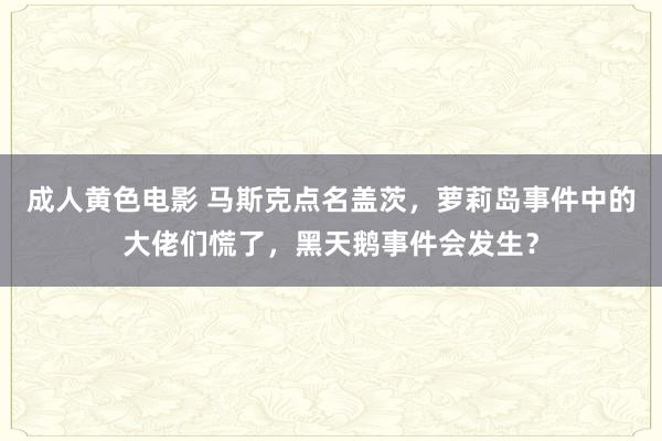 成人黄色电影 马斯克点名盖茨，萝莉岛事件中的大佬们慌了，黑天鹅事件会发生？