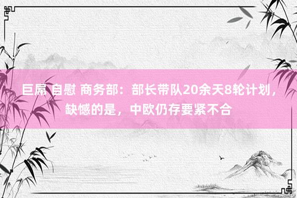 巨屌 自慰 商务部：部长带队20余天8轮计划，缺憾的是，中欧仍存要紧不合