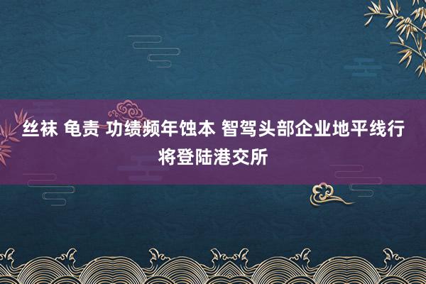 丝袜 龟责 功绩频年蚀本 智驾头部企业地平线行将登陆港交所