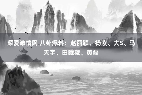 深爱激情网 八卦爆料：赵丽颖、杨紫、大S、马天宇、田曦薇、黄磊