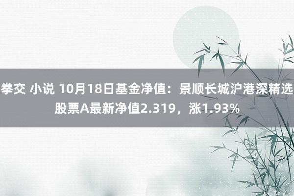 拳交 小说 10月18日基金净值：景顺长城沪港深精选股票A最新净值2.319，涨1.93%