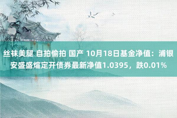 丝袜美腿 自拍偷拍 国产 10月18日基金净值：浦银安盛盛煊定开债券最新净值1.0395，跌0.01%