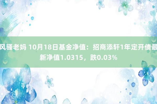 风骚老妈 10月18日基金净值：招商添轩1年定开债最新净值1.0315，跌0.03%