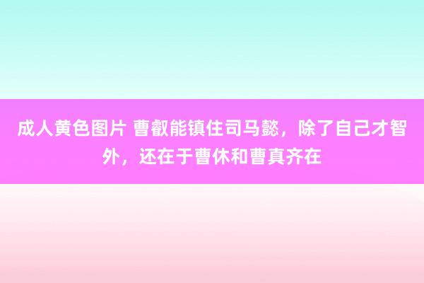 成人黄色图片 曹叡能镇住司马懿，除了自己才智外，还在于曹休和曹真齐在