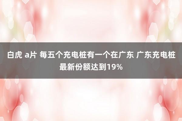 白虎 a片 每五个充电桩有一个在广东 广东充电桩最新份额达到19%