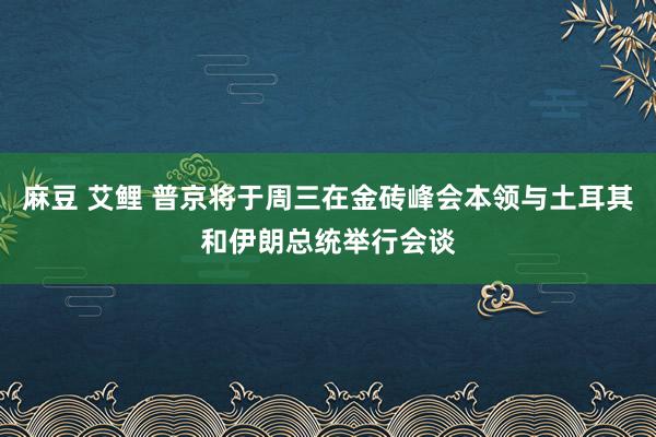 麻豆 艾鲤 普京将于周三在金砖峰会本领与土耳其和伊朗总统举行会谈