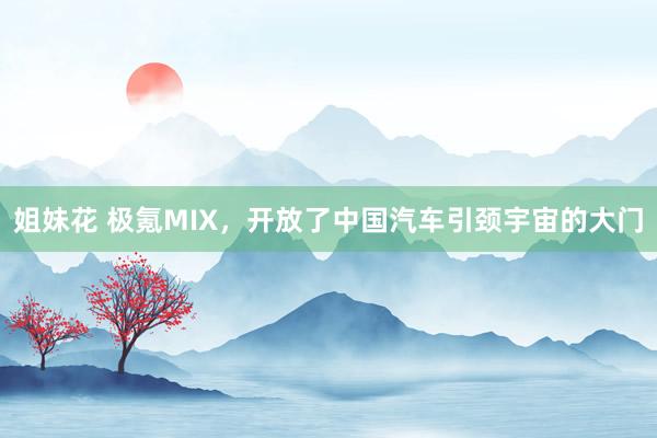 姐妹花 极氪MIX，开放了中国汽车引颈宇宙的大门