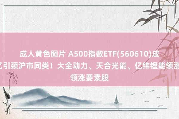 成人黄色图片 A500指数ETF(560610)成交破6亿引颈沪市同类！大全动力、天合光能、亿纬锂能领涨要素股