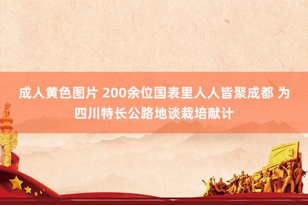 成人黄色图片 200余位国表里人人皆聚成都 为四川特长公路地谈栽培献计