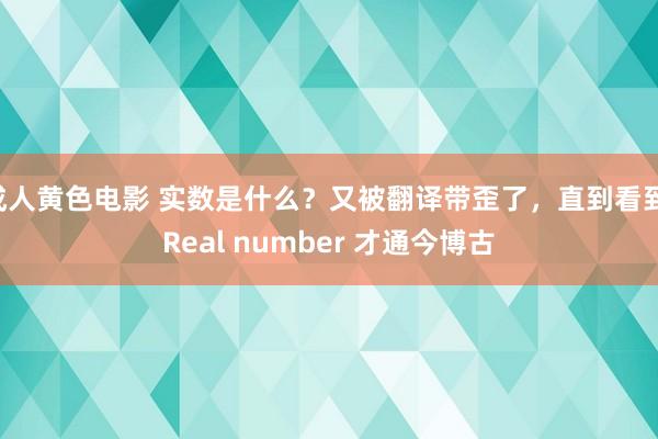 成人黄色电影 实数是什么？又被翻译带歪了，直到看到 Real number 才通今博古