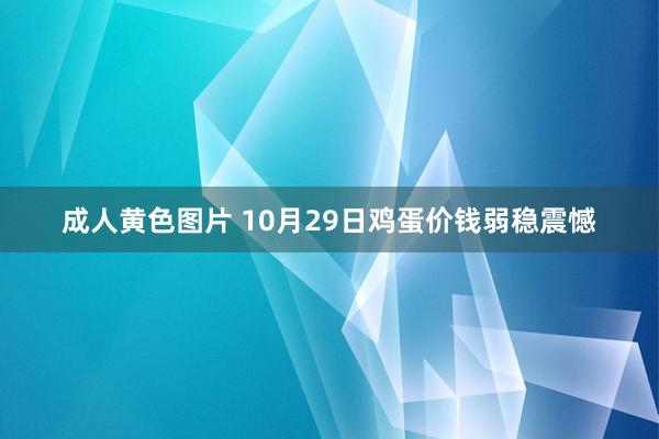 成人黄色图片 10月29日鸡蛋价钱弱稳震憾