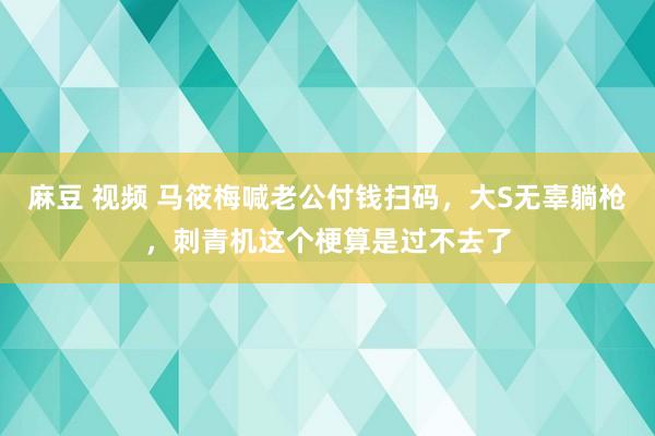 麻豆 视频 马筱梅喊老公付钱扫码，大S无辜躺枪，刺青机这个梗算是过不去了